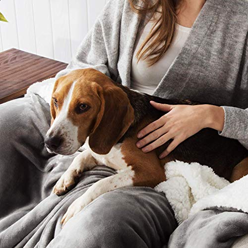 furrybaby Water-Resistant Blanket Cover, Liquid Pee Proof Pet Blanket for Bed Couch Protection Washable, Reversible… - Image 6