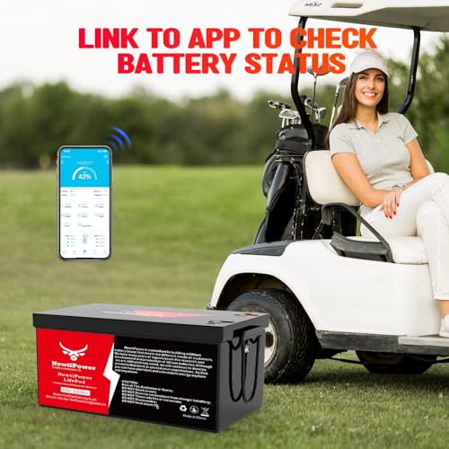 Image of 48V 100Ah Golf Cart Lithium LiFePO4 Battery with 200A BMS Grade A Cells Deep Cycle Rechargeable Battery,10000+ Cycles,Perfect for Golf Cart,Off Grid Applications (48V 100Ah)
