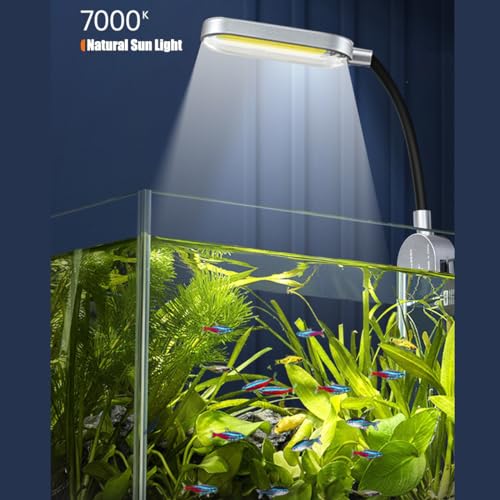 Craftsboys 5.5L Aquarium-Starter-Kits, Nano-Glas-Aquarium mit Filter, LED-Licht für Aquascape DIY kleines Betta-Fischbecken