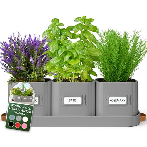 volila Herb Planter Indoor - Set of 3 Grey Indoor