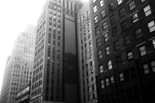 Negativo Fomapan de Foma en Blanco y Negro, ISO 100, 35 mm, 36 exposiciones - imagen 5