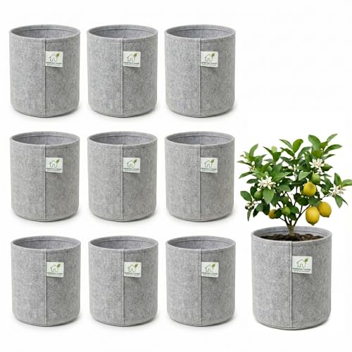 Image of 400 GSM Geo Fabric Round Grow Bags 24x24 Inch, Grey Planting Bags for Terrace and Kitchen Gardening Pack of 10