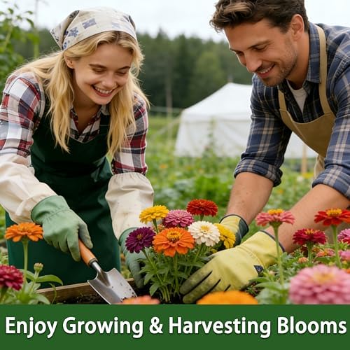 LUOJIBIE Zinnia Seeds, 6500+ Bulk Pack Mixed Colors Large Blooms Seeds, California Giant Zinnia Seeds for 2026, High Germination Non-GMO, Wildflower Seeds for Planting Indoor Outdoor, Open Pollinated - 5