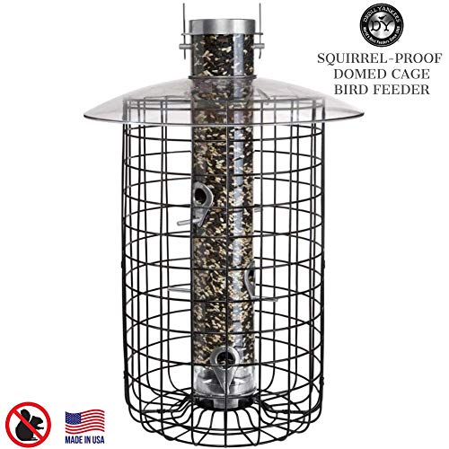 Droll Yankees Domed Cage Sunflower Seed Bird Feeder, 6 Feeding Ports, 20-Inch, Black #TOP1