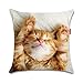 WEIANG Housse de coussin double face avec motif de chat mignon pour voiture, maison, canapé, lit, 45 x 45 cm
