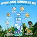 Kiki Milk Plant Based Milk - Organic Unsweetened Kiki Milk - Calcium & Magnesium Source - Gluten Free, Gum Free, GMO Free, Dairy Free, Soy Free, Glyphosate Free - Shelf Stable - (32 oz • Pack of 6)