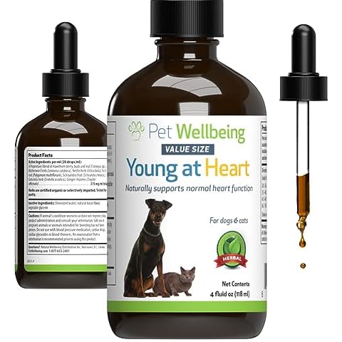 Pet Wellbeing Young at Heart for Dogs & Cats - Heart Health, Circulatory & Cardiovascular System, Hawthorn, Motherwort, Schisandra - Veterinarian-Formulated Herbal Supplement 4 fl oz (118 ml) Cover