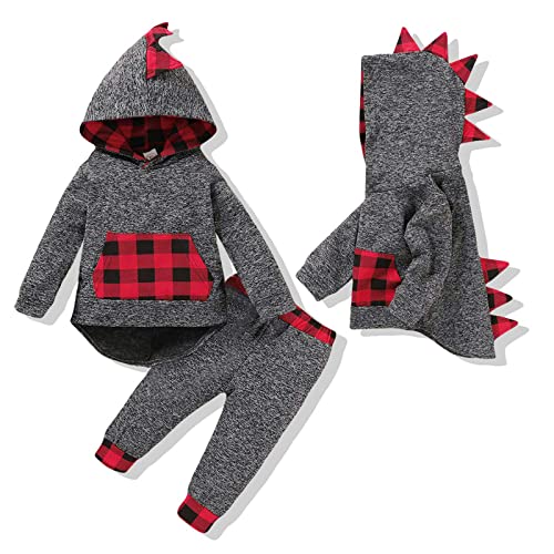 Xumplo Baby Boys Clothes Dinosaur Print Hoodie Outfits Infant Sweatsuit Fall Winter Tops Pants Set 12-18 Months