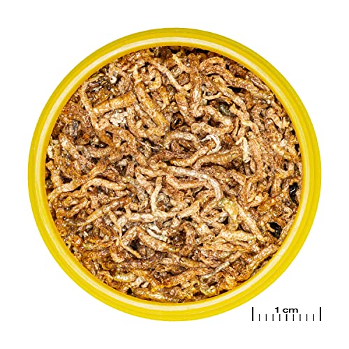 JBL PRONOVO FIL, Rote Mückenlarven, Leckerbissen für alle Zierfische von 3-10 cm, 100 ml