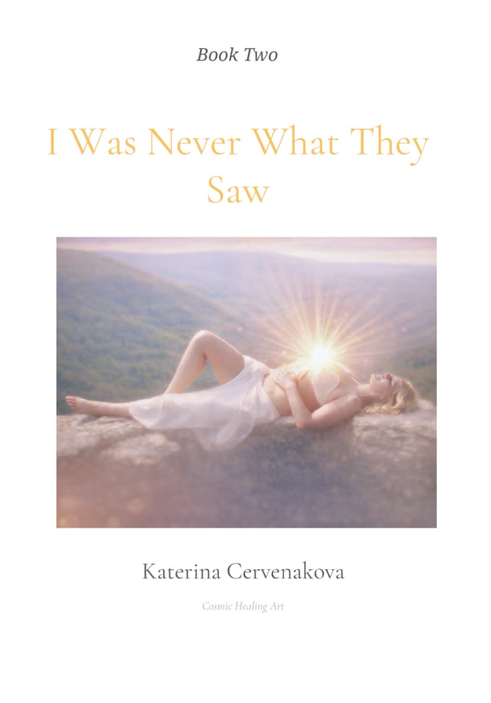 I Was Never What They Saw (The Stillness Series)