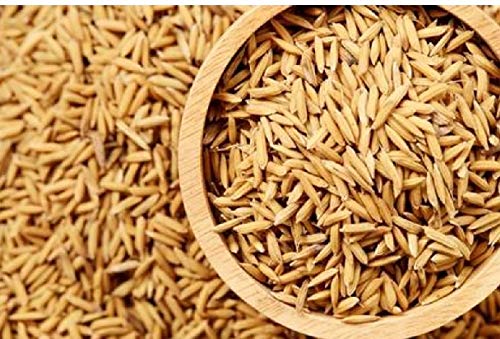 Pets Wizard - Premium Rice Paddy Seeds Bird Food for All Type of Birds - 900 Grams (B08RW8Z2QZ) Amazon Price History, Amazon Price Tracker