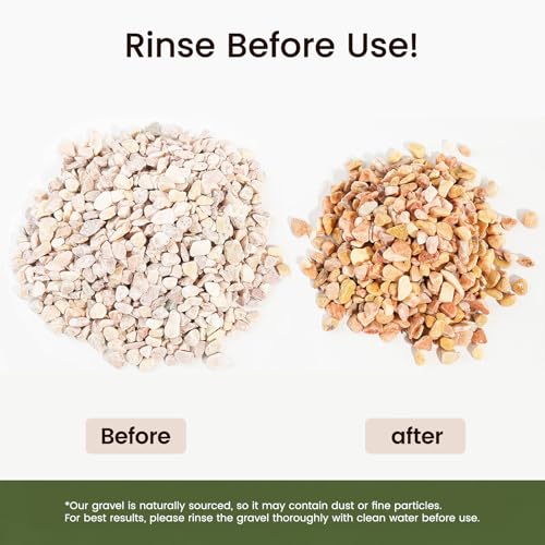 Image of CONSDAN 12 LBS Natural Gravel for Fish Tank, StoneCreek Betta Fish Aquarium Gravel, Vase Filler, River Rocks, Fish Tank Decorations, Perfect for Aquarium Decor, Fish Tank, & Indoor Plant, Pale Yellow