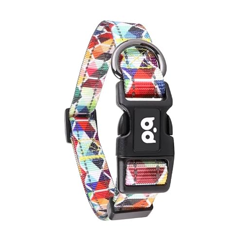 Homie Pettie 犬用光る首輪 - 犬用首輪 リードセット 犬 ライト 散歩用 夜光3M反射素材で安全な散歩をサポート内側のパッド付き猫首輪 調節可能で首に優しい設計 大型犬・中型犬・小型犬・猫に最適 多色展開 超軽量 トレーニングやジョギングにも