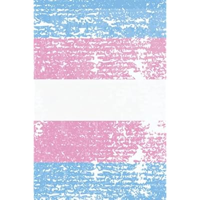 Trans Flag Notebook
