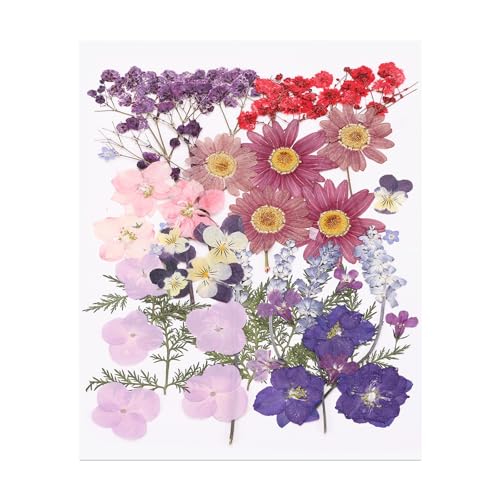 Hojas de flores prensadas secas bulk 46 piezas miniatura 1