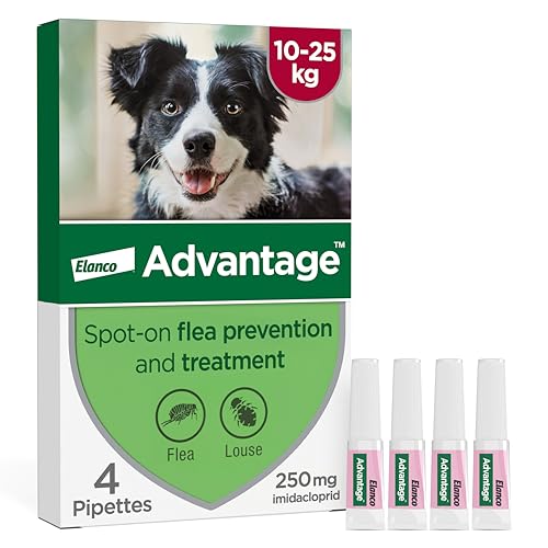 Flea Treatment for Dogs