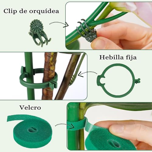 La mejor comparación de Orquideas . 30 Imagen adicional