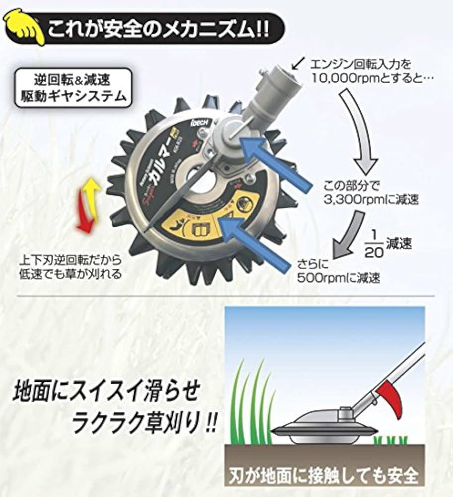 51vZL79OQgL._AC_UF1000,