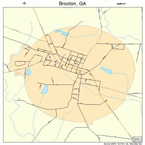 Large Street & Road Map of Broxton, GA Printed poster size