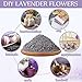 Treela 3 Pound Dried Lavender Bulk Dry Lavender Buds Fragrant Flower Petals for DIY Wedding Gift Crafts Fragrance Sachets