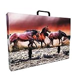 Mallette scolaire en plastique 100% recyclable. Images imprimées en haute qualité, mesure 56X37X5 cm