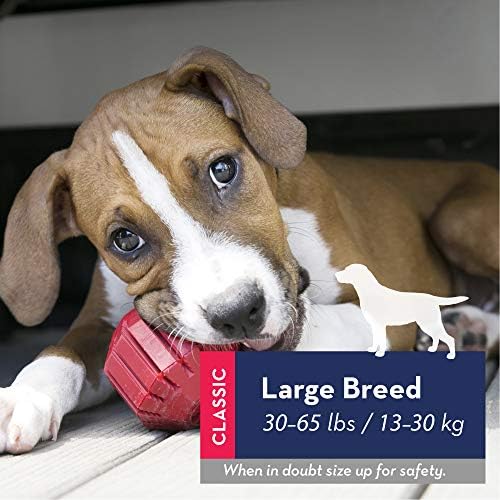 Are Kong Toys Safe For Dogs