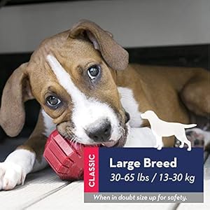 Kong stuff a ball  durable chew toy for dogs  natural rubber dog toy for dental health  pet toy for chewing  teeth cleaning  stuffable toy for dog treats  snacks  for large dogs   cucciolini doodles