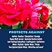 BioAdvanced 3-In-1 Insect, Disease and Mite Control, Fungicide, Concentrate, 32 oz