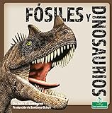 Fósiles y dinosaurios/ Fossils and Dinosaurs (Spanish Edition)