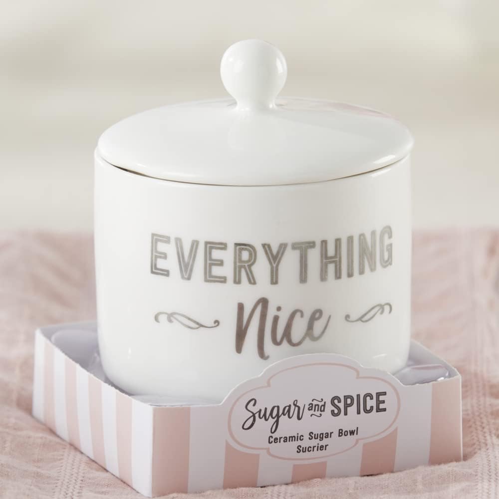 Kate Aspen Ceramic Sugar Container/Bowl, Spice and Everything Nice, White with Silver Foil, one size (Pack of 6)