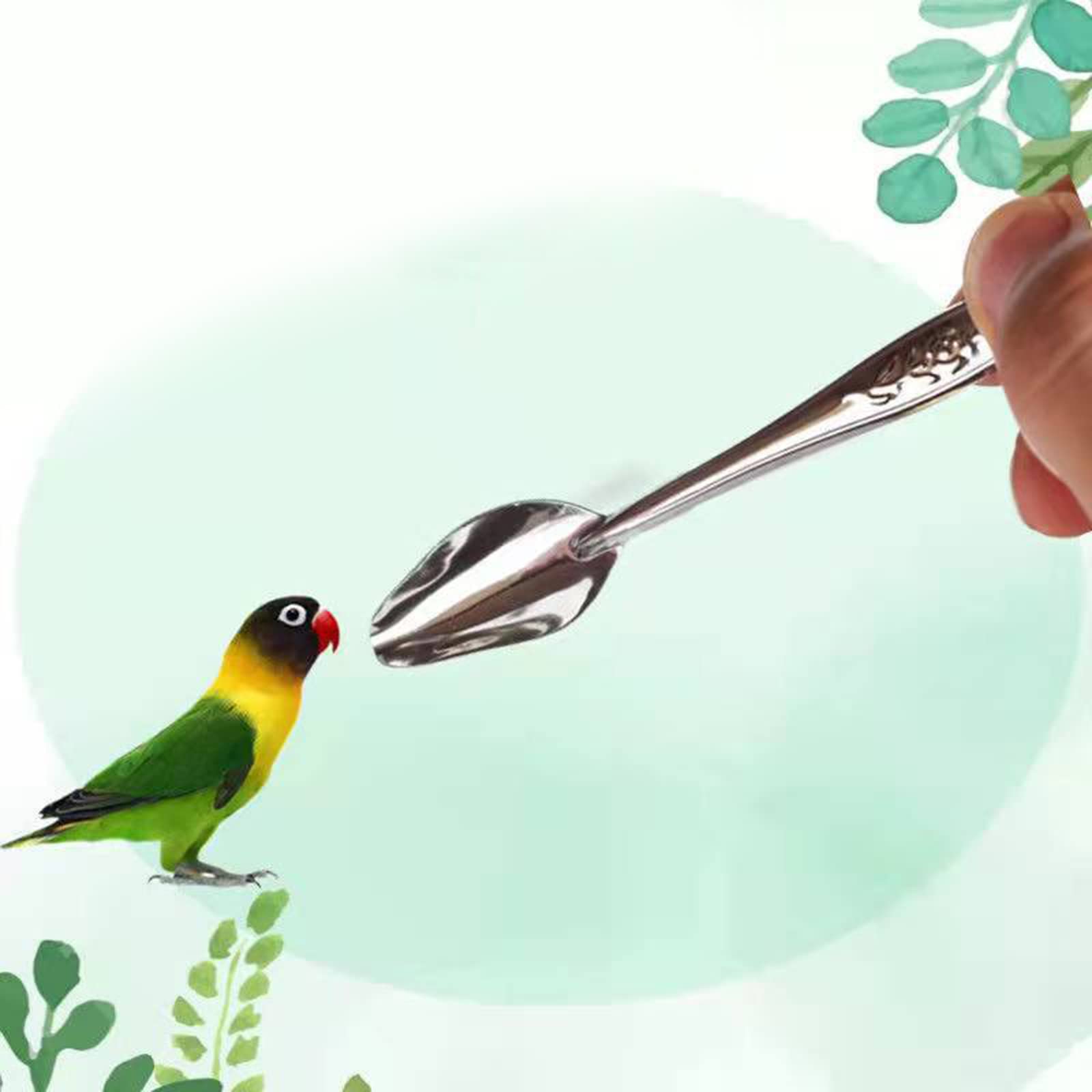 Cucchiaio di alimentazione in metallo per pappagalli Cucchiaio in acciaio inossidabile Cucchiaio per alimentazione a mano per acqua latte Cucchiai per peonia Cockatiel Piccolo uccello