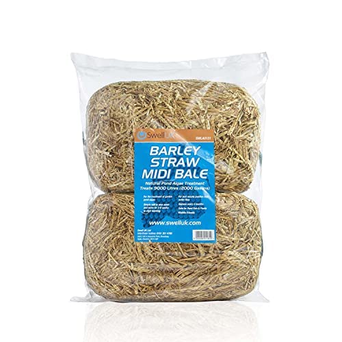 Swell Barley Straw Maxi 6 pack. Barley Straw for Ponds to act as Pond Cleaner and Algae Treatment
