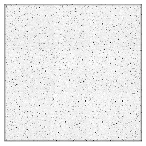 Ceiling Expert 732006090081 Azulejos de Techo, Blanco, 595mm x 595mm