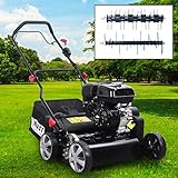 briggs and stratton motor ersatzteile hp 11 Warum Vertikutieren? Durch das Anritzen der Grasnarbe wird altes Schnittgut, Moos und Unkraut entfernt. Wasser und Nährstoffe gelangen wieder besser an die Graswurzeln, die Grashalme werden gestärkt bzw. können schneller nachwachsen. Warum Lüften? Die verdichtete Erde unter dem Rasen wird durch Lüftungslöcher gelockert. Es gelangt wieder mehr Sauerstoff an die Wurzeln - der Rasen kann gesund wachsen!