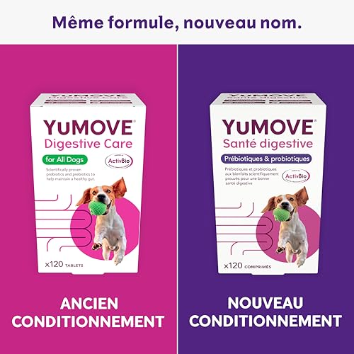 YuMOVE Complément probiotique pour Chien -120 comprimés -Soutien digestif Quotidien pour la santé des Chiens aux intestins sensibles -avec probiotiques pour la Flore intestinale – Image 4