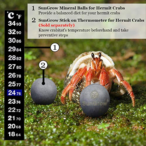 Sungrow 10 Hermit Crab, Crayfish Calcium Supplement Balls, Beneficial For Molting Pets, With Over 30 Beneficial Minerals - Image 7