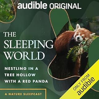 The Sleeping World: Nestling in a Tree Hollow with a Red Panda Titelbild