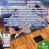 Zoom IMG-1 touch of synergy olio essenziale Zoom IMG-1 touch of synergy olio essenziale