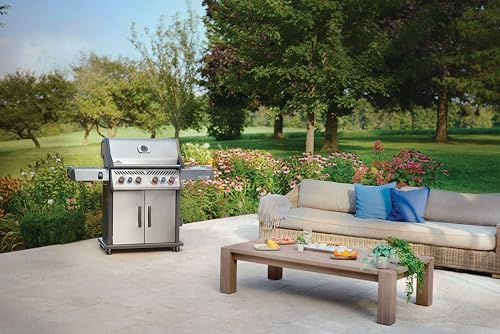 Image of Napoleon Rogue PRO-S 525 4-Burner Natural Gas Grill - Rear & Side Burner