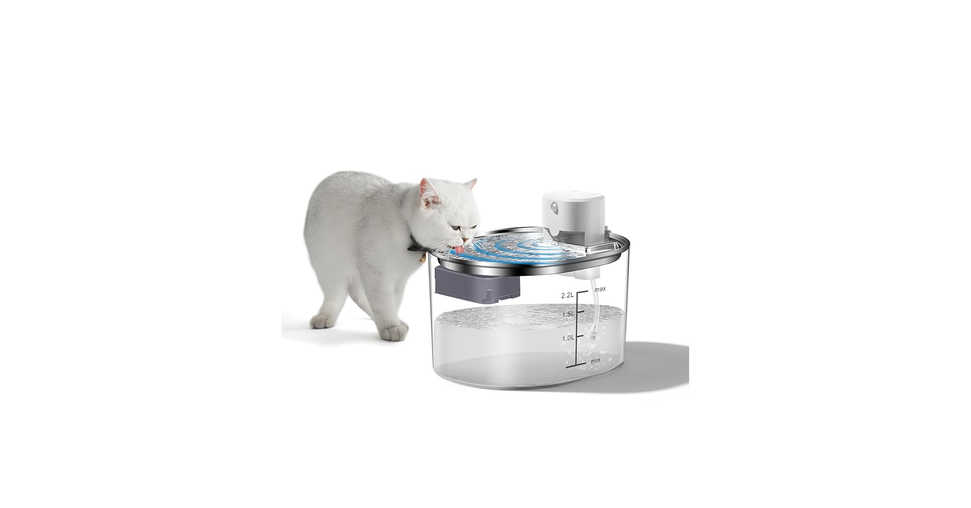 犬 猫 給水 51va0HHhxmL.jpg_BO30,255,255,