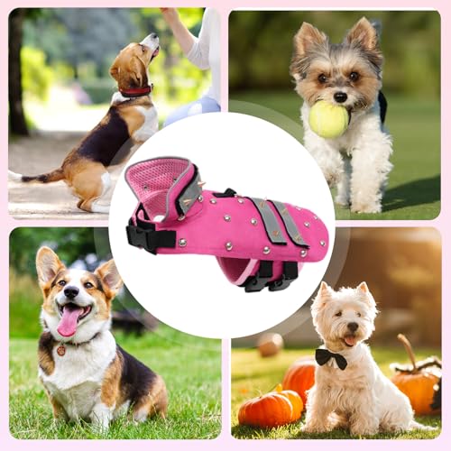 Spitze Hundeweste, Hundeschutzweste, wasserdichte Haustiergeräte, widerstandsfähig gegen Bisse von Vorwolfen und Anderen großen Hunden, geeignet für Katzen, Hunde und Kaninchen, rosa (M)