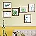 8x10 Picture Frame Brown Set of 6, Display Pictures 5x7 With mat or 8x10 Without Mat