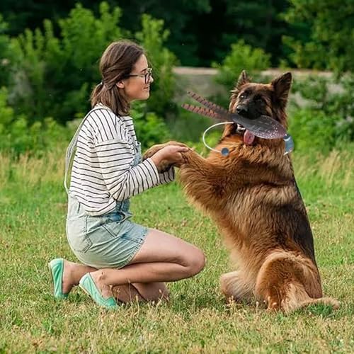 Bird Launcher Hundetraining Simulierte Truthahn Dummy Launcher Hund Training Bite Resistant Hundetraining Spielzeug Fun Hunde Interaktive Spielzeug Jagd Retriever Hund Training Accessoires