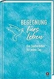 begegnung fürs leben  Begegnung fürs Leben, Motiv \