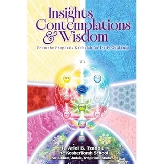 Insights, Contemplations & Wisdom Audiobook By R. Ariel B. Tzadok cover art