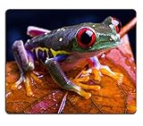 Simple detachable design MSD Natural Rubber Gaming Mousepad IMAGE ID: 869249 Frog small animal with smooth skin and long legs that are used for jumping