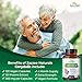 Zazzee Extra Strength Corydalis 15:1 Extract, 7500 mg Strength, 120 Vegan Capsules, Concentrated and Standardized 15X Extract, 100% Vegetarian, Premium Grade, Conolidine, All-Natural and Non-GMO