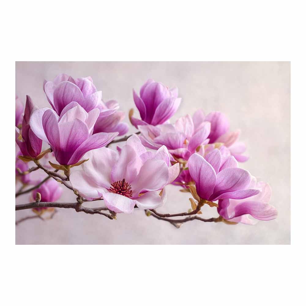 CUDAOO Botanische Leinwand Bilder Minimalistische Blumen Wandbilder Purple magnolia für Wohnzimmer, Schlafzimmer(pink)-20x30cm Unframed
