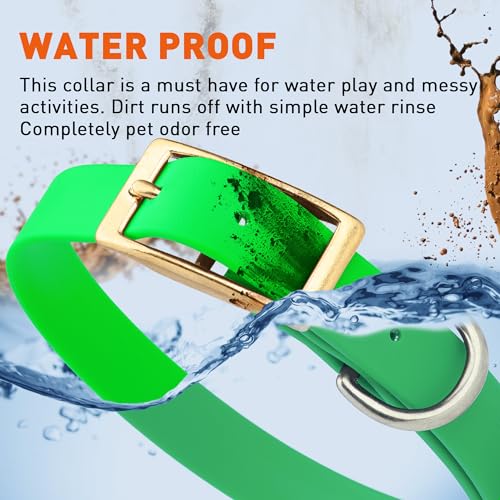 Image of Viper Biothane Heavy Duty Waterproof Dog Collar Strong Coated Nylon Webbing w /Solid Brass Hardware Odor-Proof Easy to Clean High Performance Fits Small Medium or Large Dogs, Tropical Green