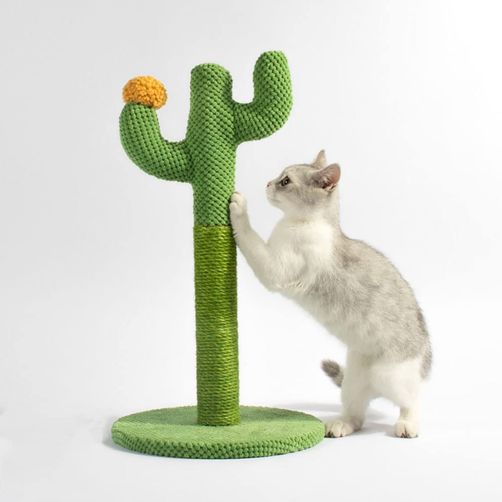Arbre à chat en forme de cactus aux finitions soignées pour jeunes chats exigeants